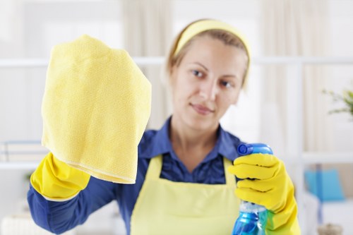 Professional move in cleaning in an empty new home