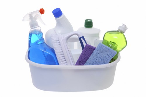 Bathroom sanitizing as part of move in cleaning