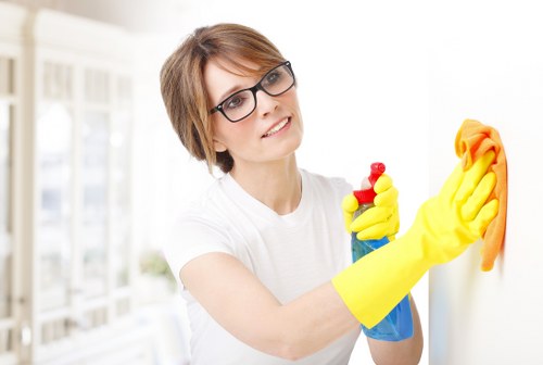 Kitchen surfaces cleaned and sanitized during house cleaning