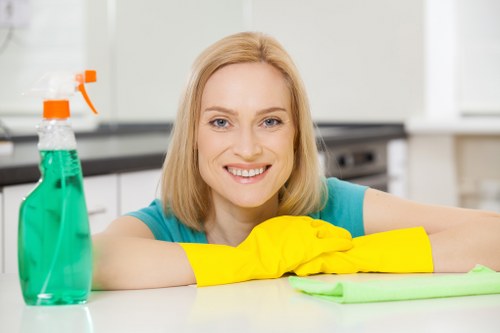 Household cleaning routine for bathrooms and floors