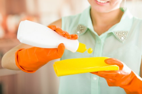Deep move in cleaning supplies and organized cleaning checklist