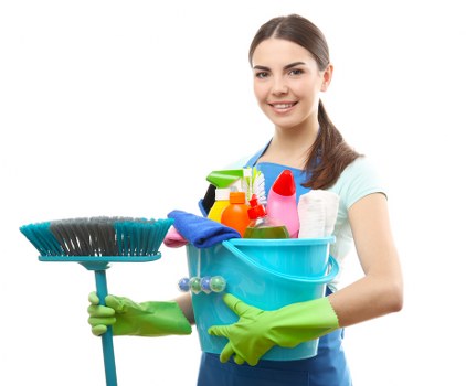 Professional deep cleaning for living spaces and appliances