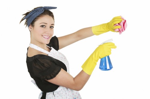 Regular cleaning supplies arranged for kitchen and bathroom care