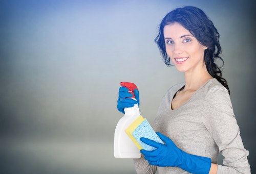 Monthly regular cleaning and home maintenance setup